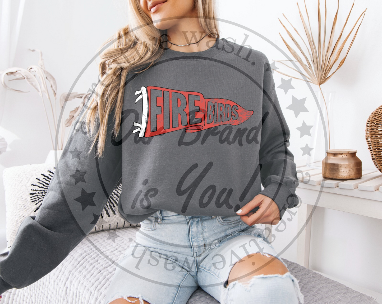 School Spirit: Pennant Designs (Customizable)