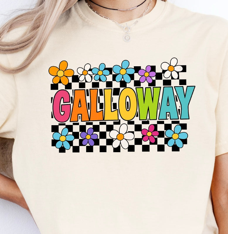 Galloway Spiritwear: Design 1 (District)