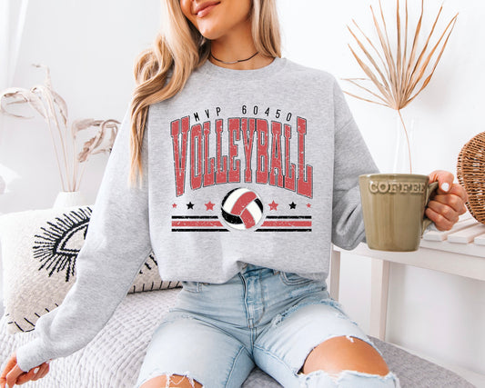 MVP 60450 Volleyball: Vintage 2