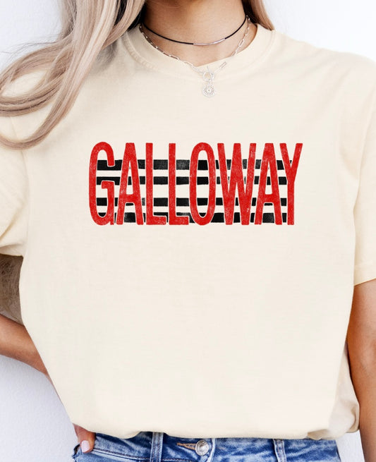 Galloway Spiritwear: Design 8 (District)