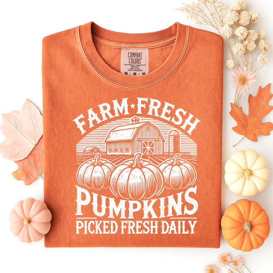 Fall: Farm Fresh Pumpkins