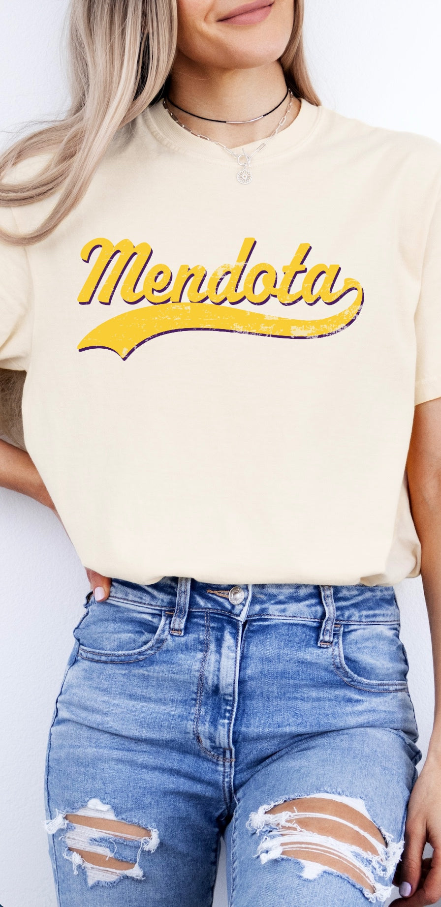 Mendota Spiritwear: Mascot Swish (Port & Company)