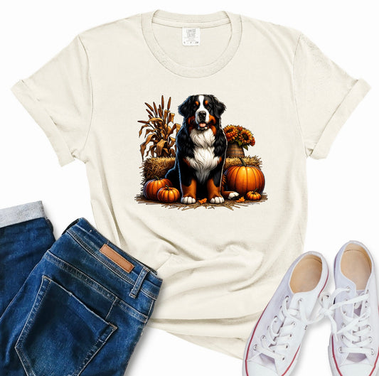 Berner: Design 17