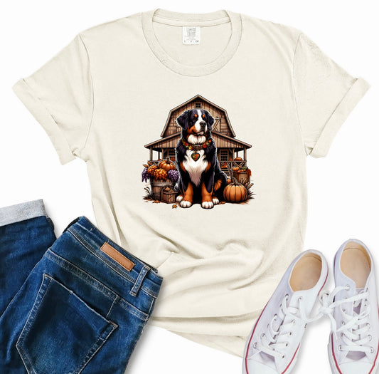 Berner: Design 16