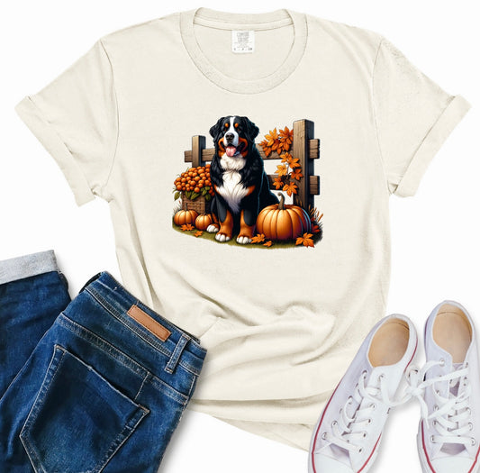Berner: Design 15