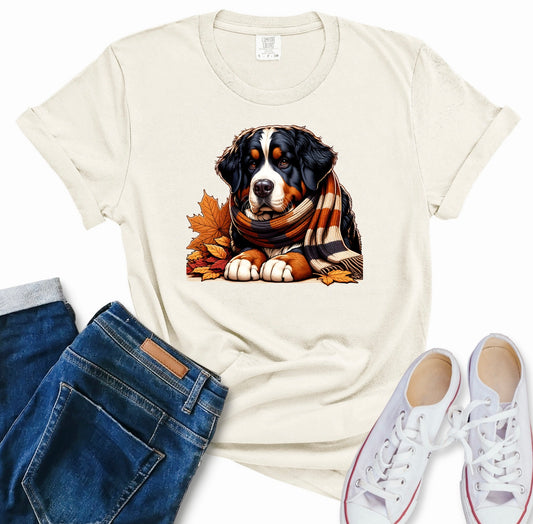 Berner: Design 6