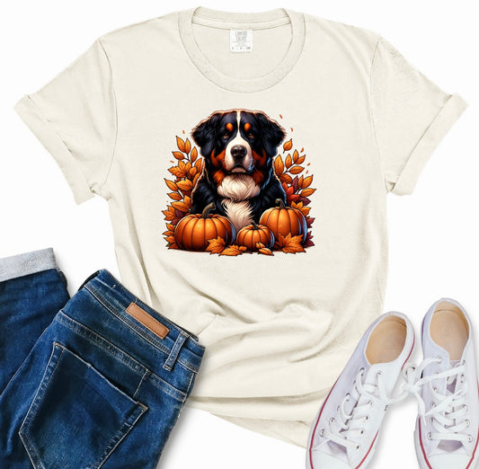 Berner: Design 5